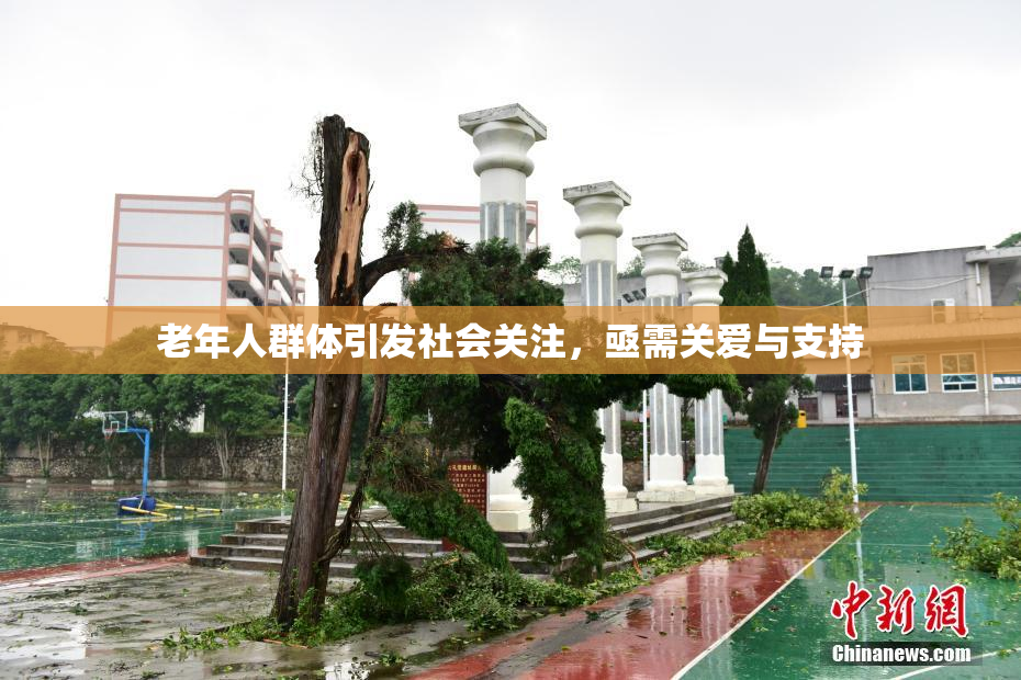 老年人群体引发社会关注，亟需关爱与支持