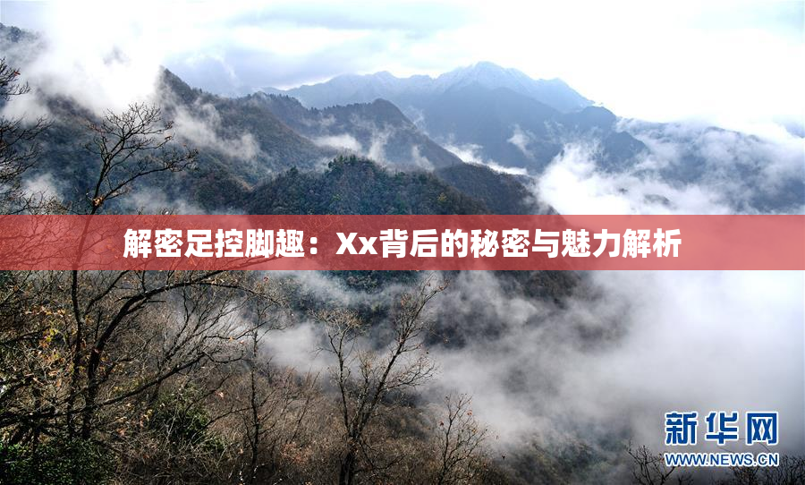 解密足控脚趣：Xx背后的秘密与魅力解析