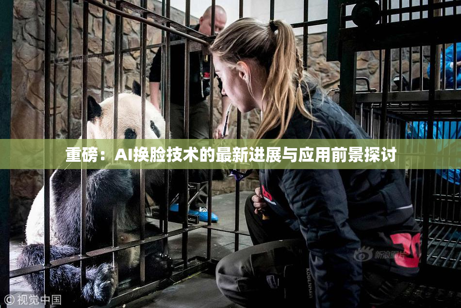 重磅：AI换脸技术的最新进展与应用前景探讨