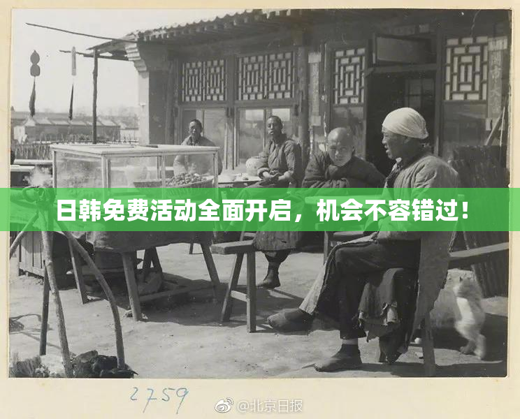 日韩免费活动全面开启，机会不容错过！