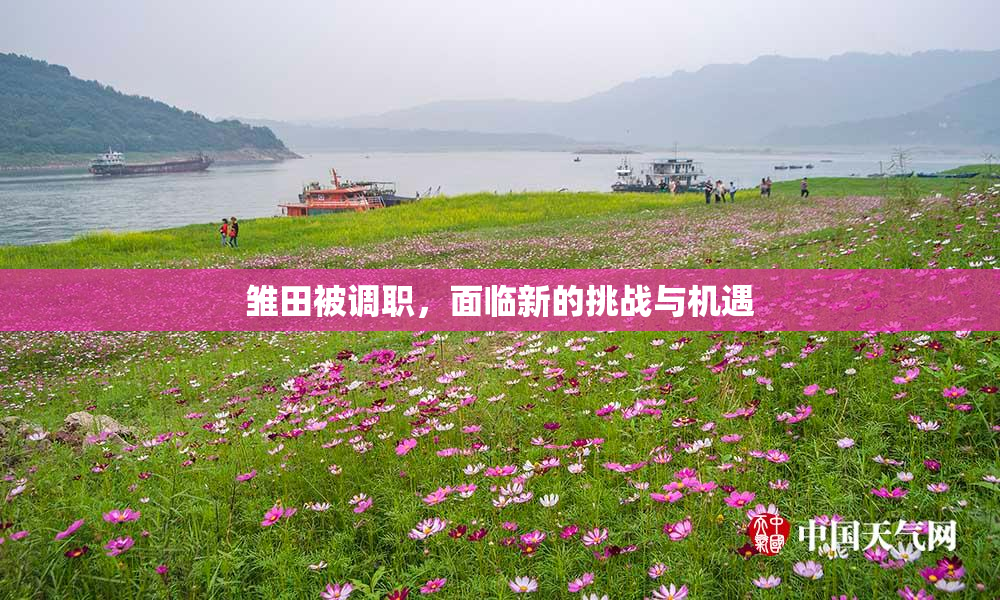 雏田被调职，面临新的挑战与机遇