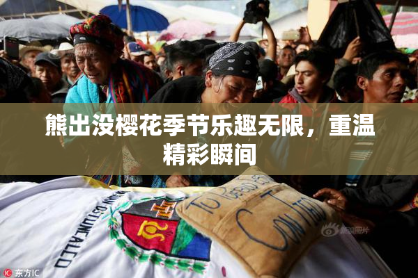 熊出没樱花季节乐趣无限，重温精彩瞬间