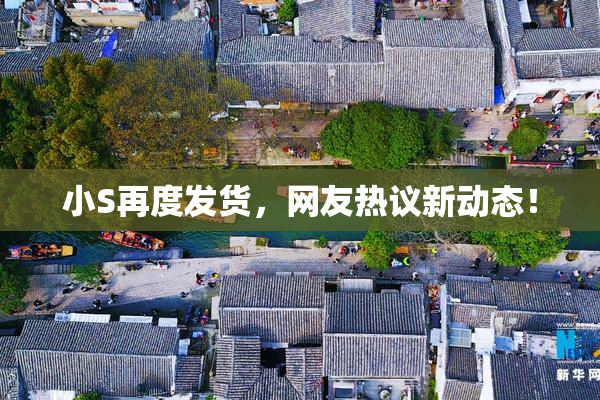 小S再度发货，网友热议新动态！
