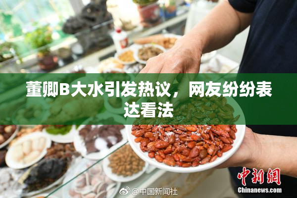 董卿B大水引发热议，网友纷纷表达看法