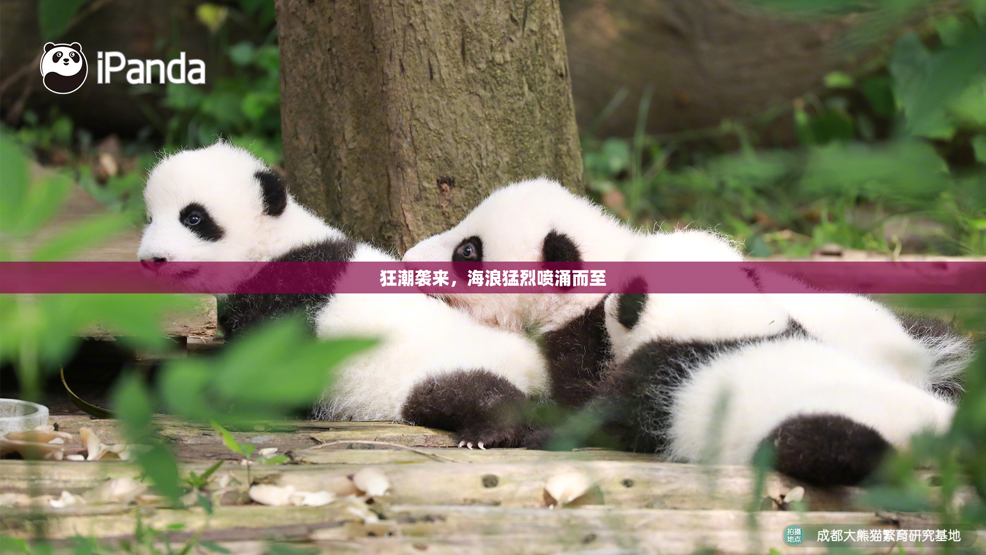 狂潮袭来，海浪猛烈喷涌而至