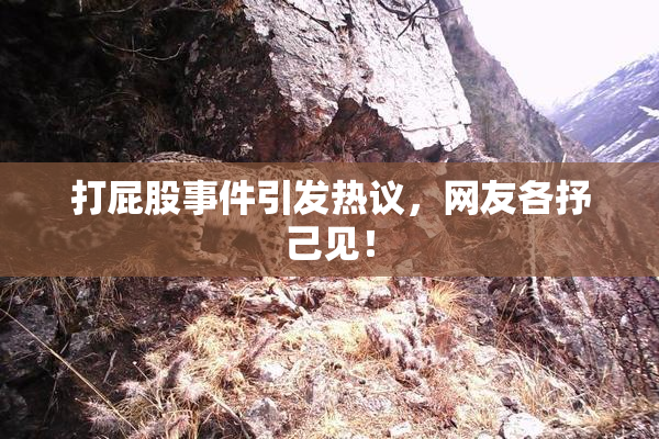 打屁股事件引发热议，网友各抒己见！