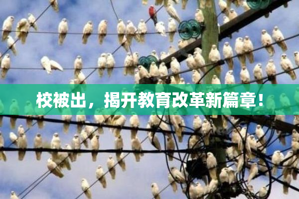 校被出，揭开教育改革新篇章！