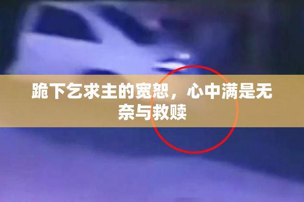 跪下乞求主的宽恕，心中满是无奈与救赎