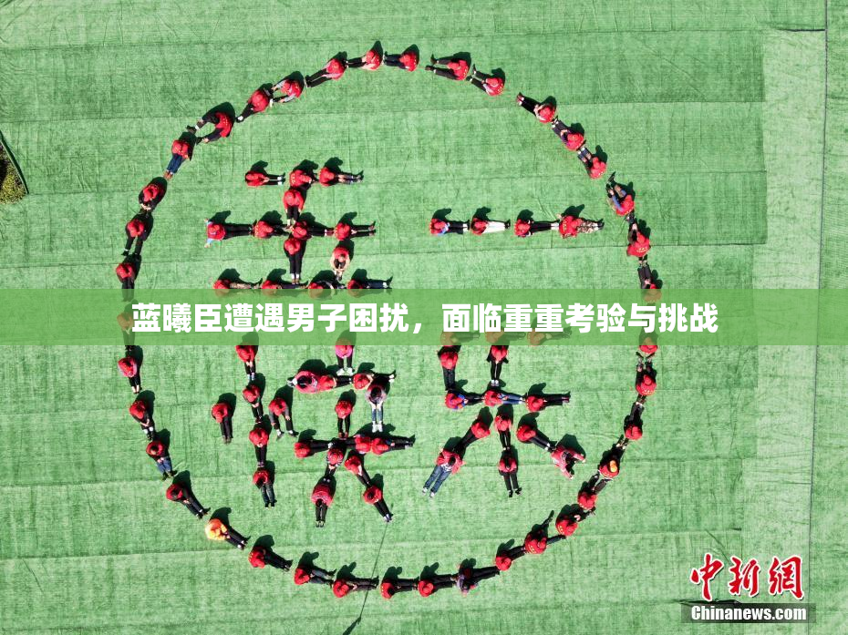 蓝曦臣遭遇男子困扰，面临重重考验与挑战