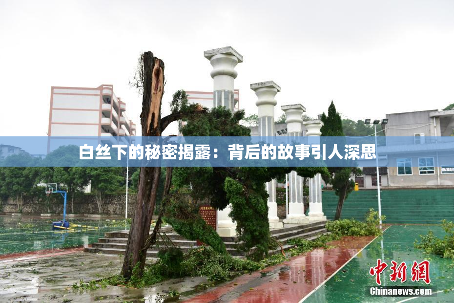 白丝下的秘密揭露：背后的故事引人深思