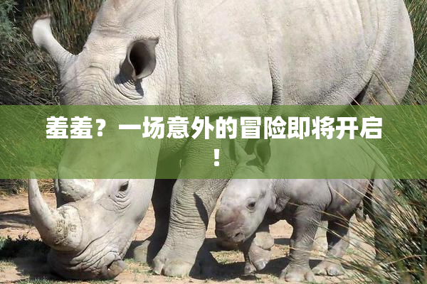羞羞？一场意外的冒险即将开启！