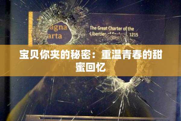 宝贝你夹的秘密：重温青春的甜蜜回忆