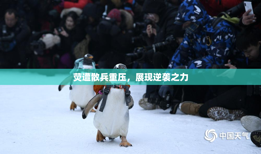 荧遭散兵重压，展现逆袭之力