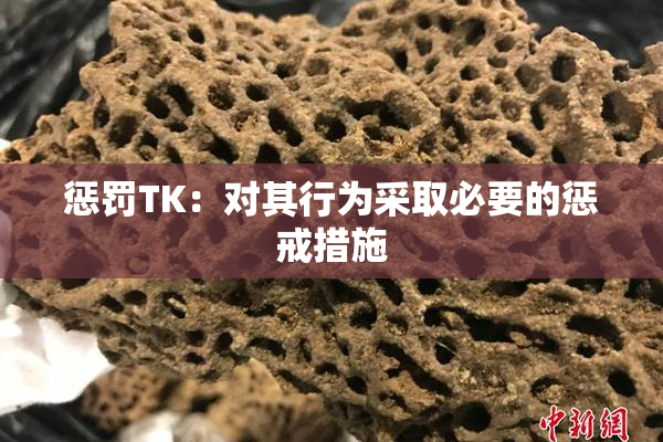 惩罚TK：对其行为采取必要的惩戒措施