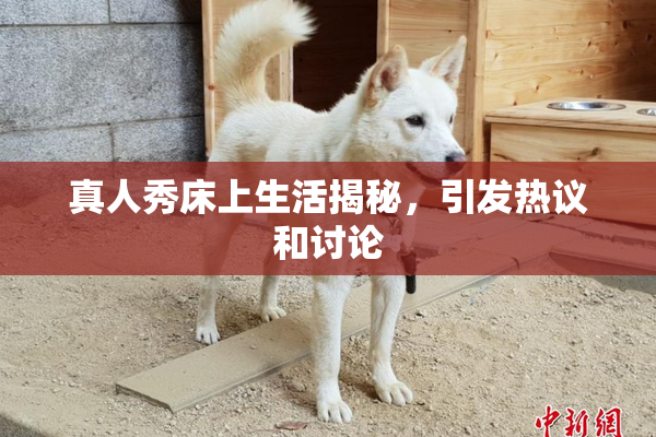 真人秀床上生活揭秘，引发热议和讨论