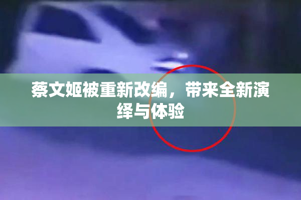 蔡文姬被重新改编，带来全新演绎与体验
