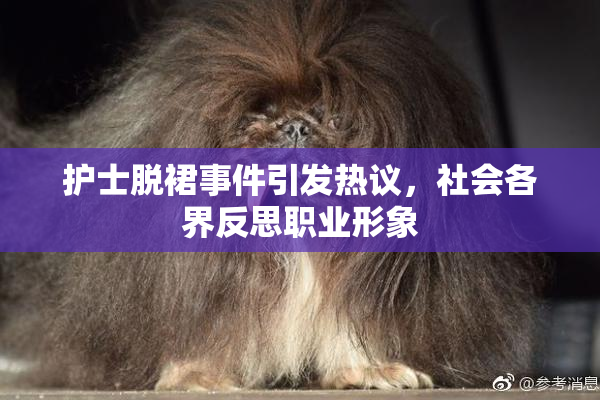 护士脱裙事件引发热议，社会各界反思职业形象