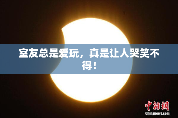 室友总是爱玩，真是让人哭笑不得！