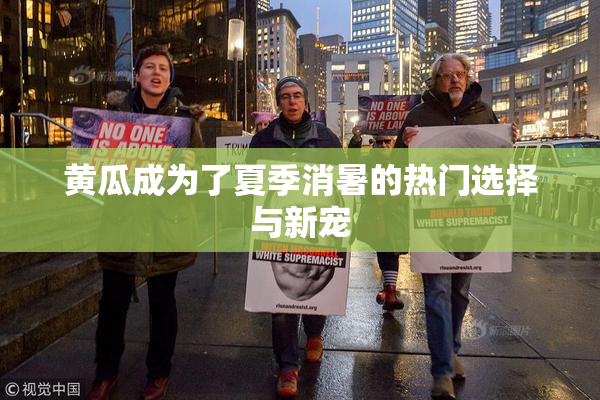 黄瓜成为了夏季消暑的热门选择与新宠