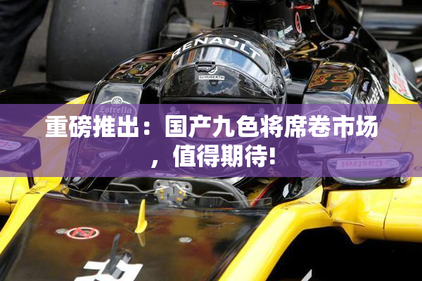 重磅推出：国产九色将席卷市场，值得期待!