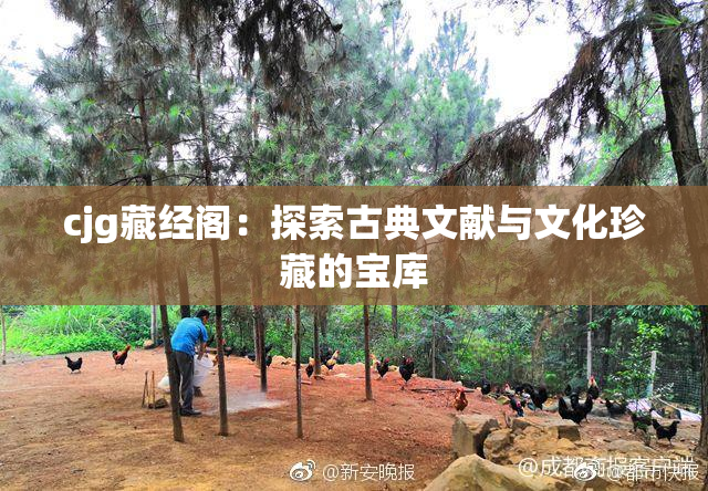 cjg藏经阁：探索古典文献与文化珍藏的宝库