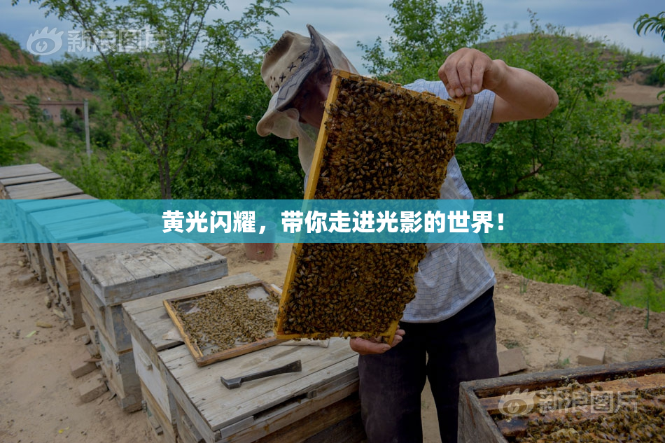 黄光闪耀，带你走进光影的世界！
