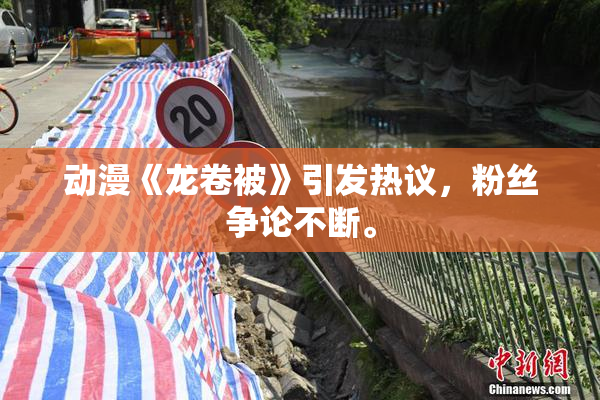 动漫《龙卷被》引发热议，粉丝争论不断。