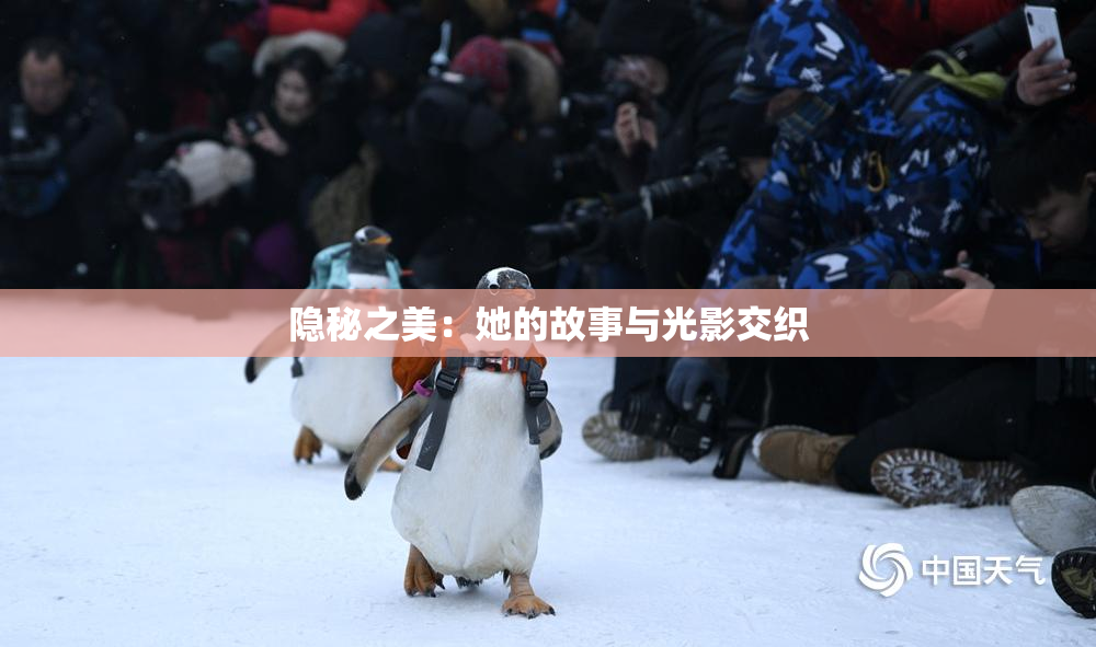 隐秘之美：她的故事与光影交织