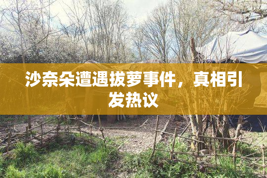 沙奈朵遭遇拔萝事件，真相引发热议