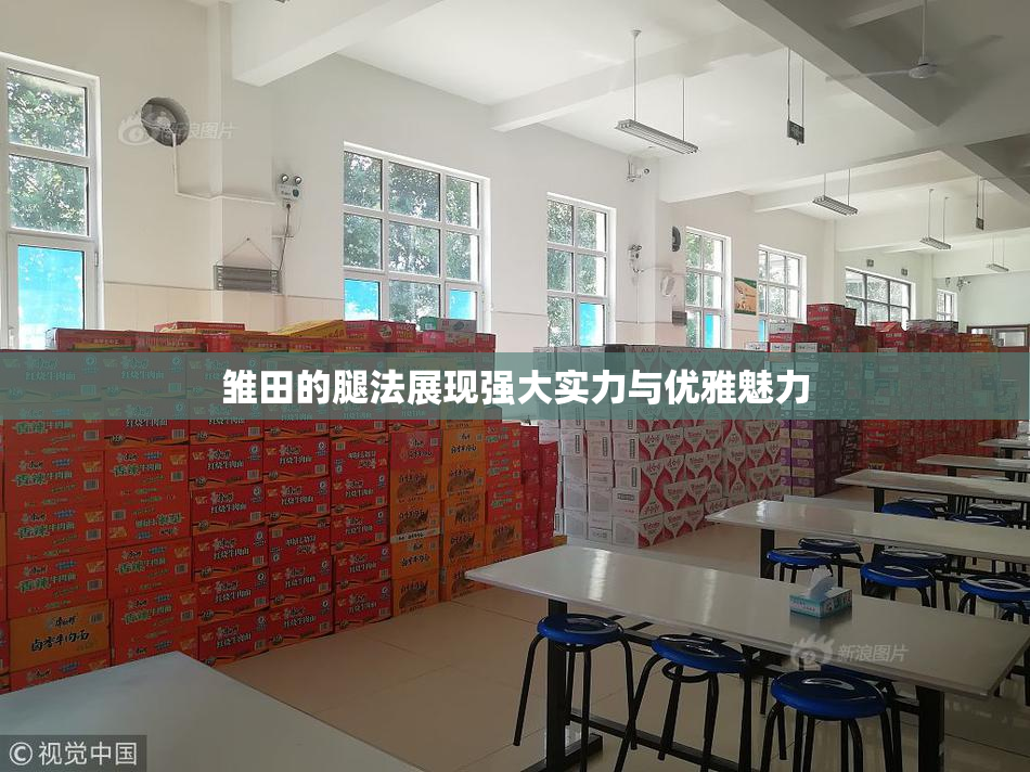 雏田的腿法展现强大实力与优雅魅力