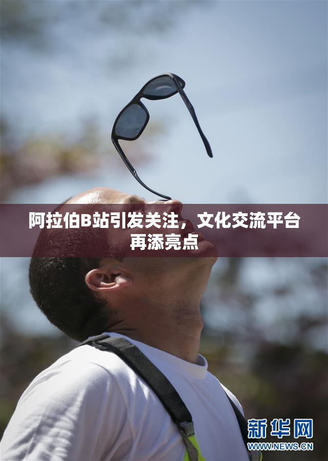 阿拉伯B站引发关注，文化交流平台再添亮点