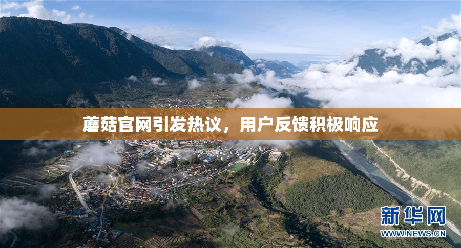 蘑菇官网引发热议，用户反馈积极响应