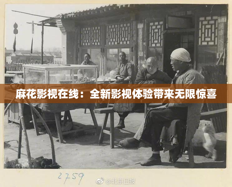 麻花影视在线：全新影视体验带来无限惊喜