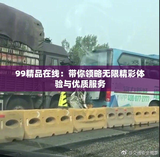 99精品在线：带你领略无限精彩体验与优质服务