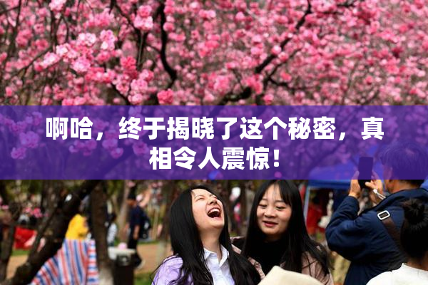 啊哈，终于揭晓了这个秘密，真相令人震惊！