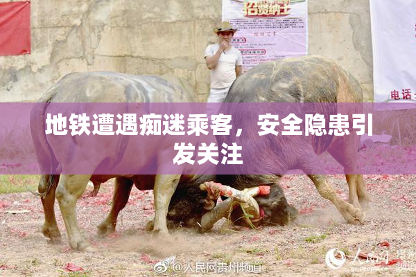 地铁遭遇痴迷乘客，安全隐患引发关注