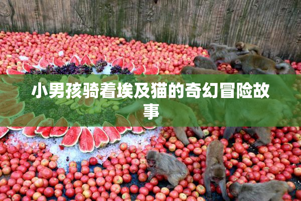 小男孩骑着埃及猫的奇幻冒险故事