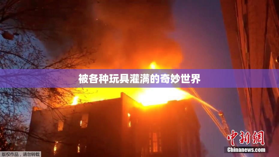被各种玩具灌满的奇妙世界