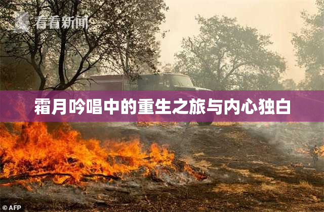 霜月吟唱中的重生之旅与内心独白