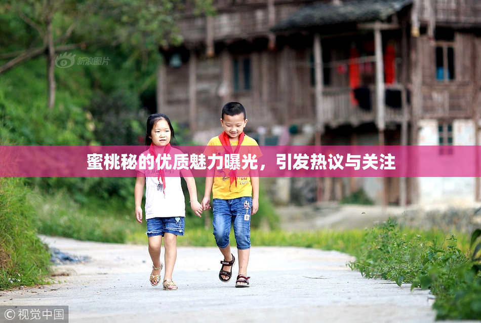 蜜桃秘的优质魅力曝光，引发热议与关注