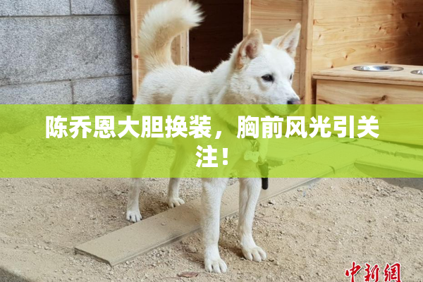 陈乔恩大胆换装，胸前风光引关注！