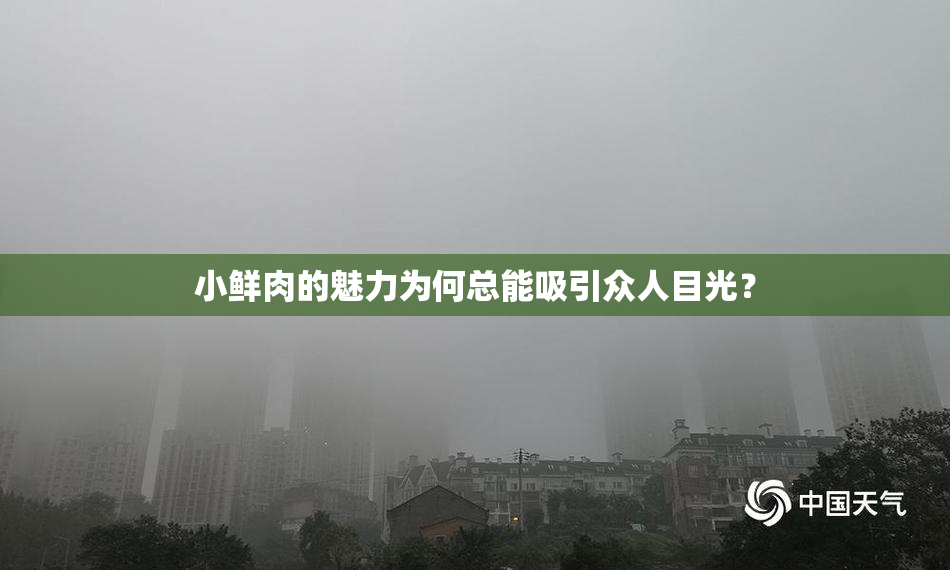 小鲜肉的魅力为何总能吸引众人目光？