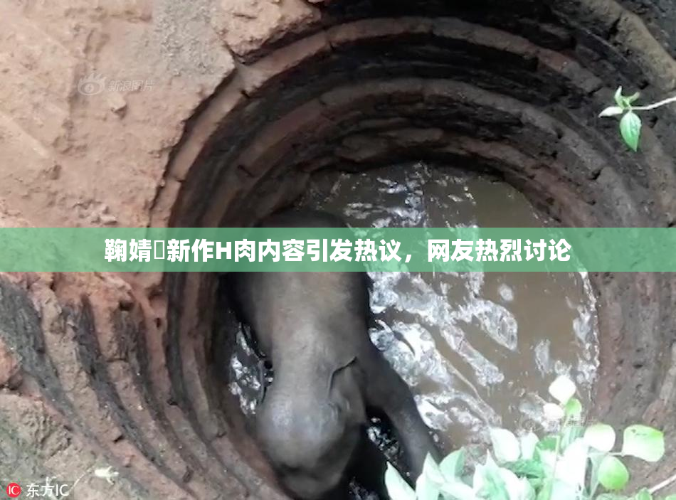 鞠婧祎新作H肉内容引发热议，网友热烈讨论