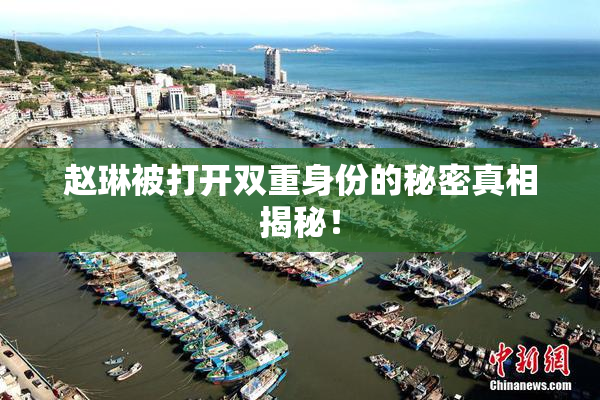 赵琳被打开双重身份的秘密真相揭秘！