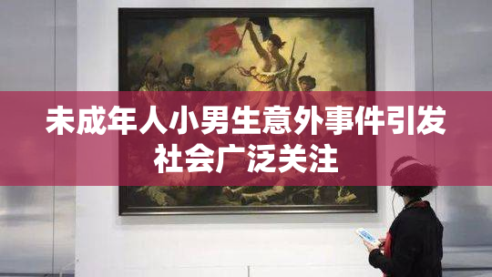 未成年人小男生意外事件引发社会广泛关注