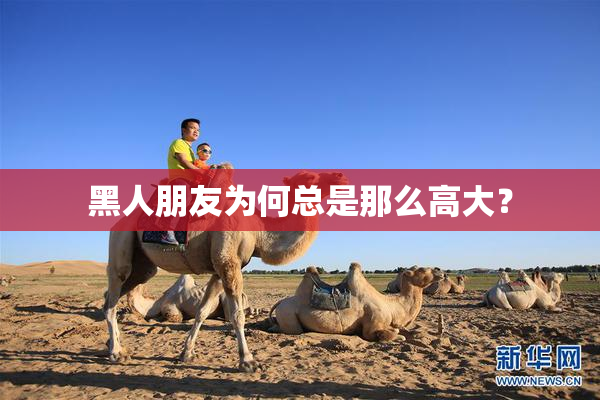 黑人朋友为何总是那么高大？