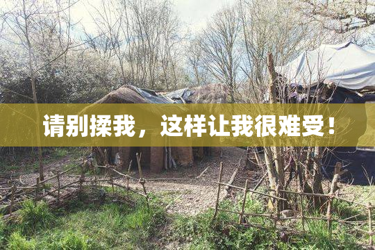 请别揉我，这样让我很难受！