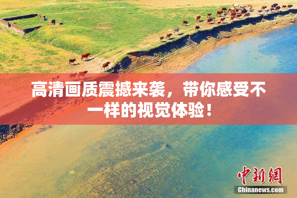 高清画质震撼来袭，带你感受不一样的视觉体验！