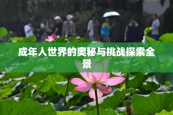 成年人世界的奥秘与挑战探索全景