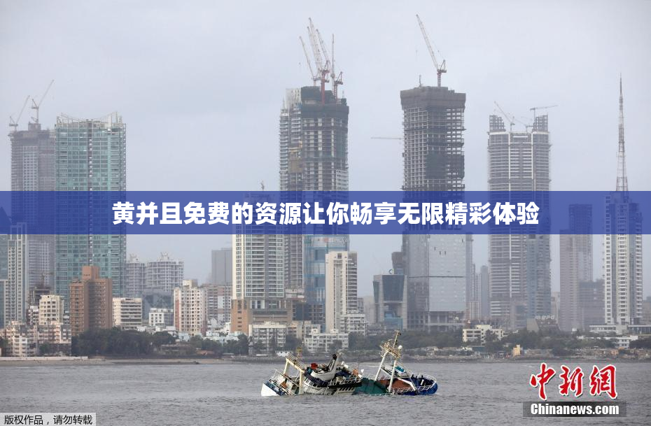 黄并且免费的资源让你畅享无限精彩体验